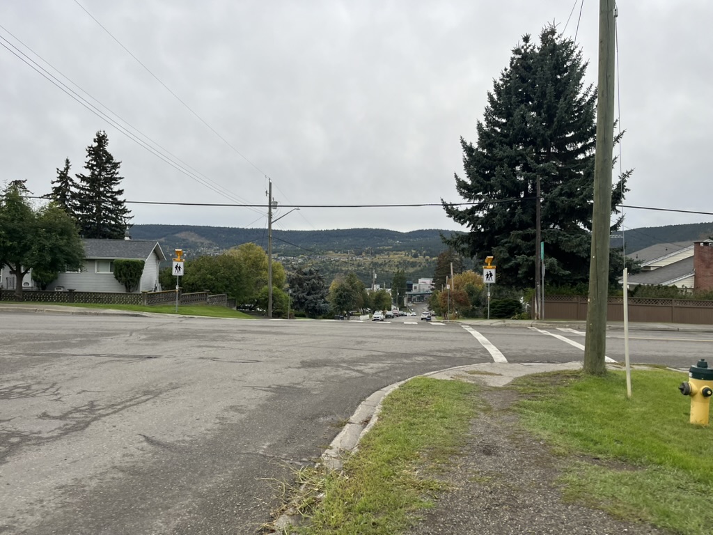 An intersection showing a damp road, a crosswalk, several houses and trees under a grey sky.