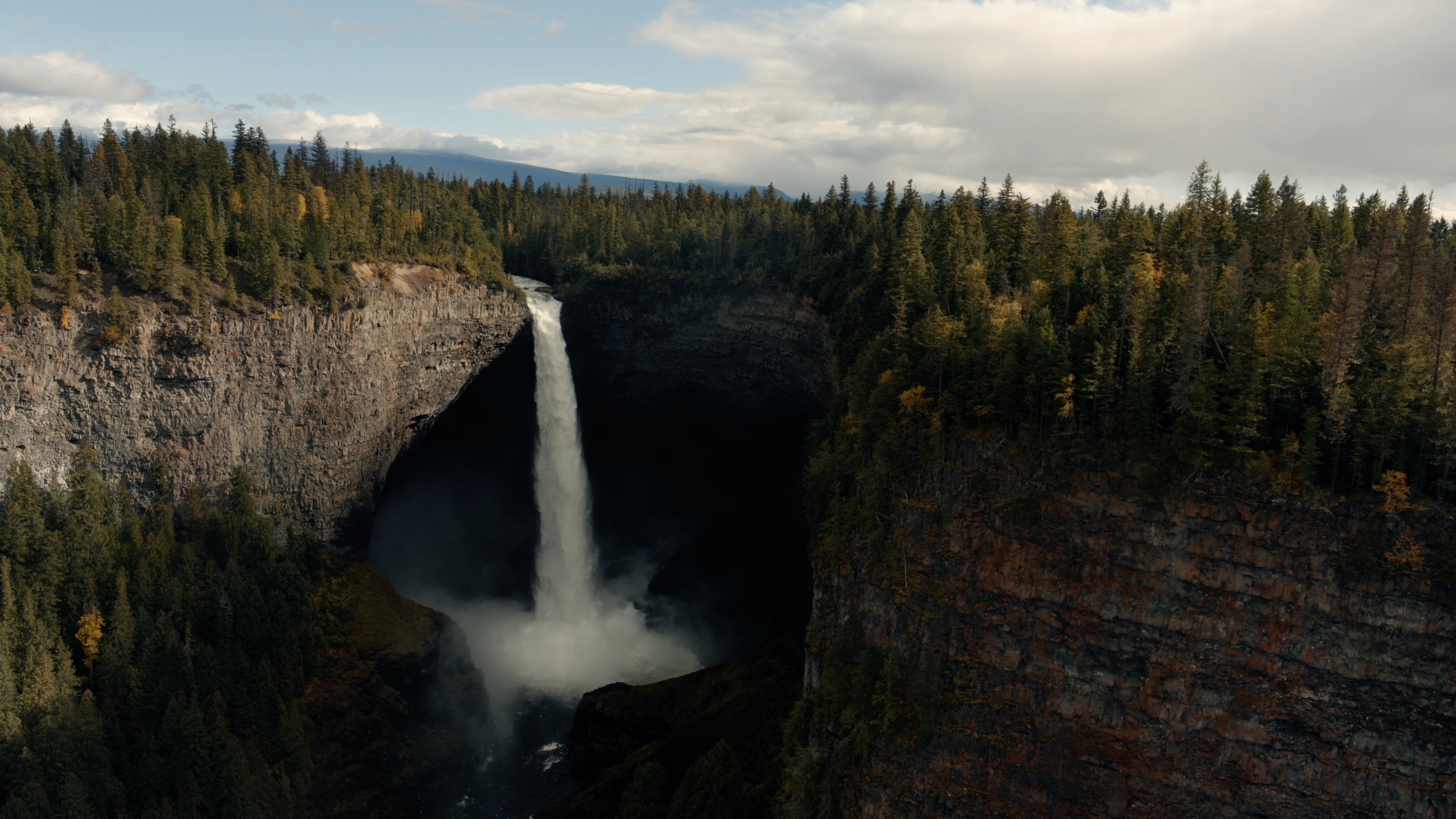 Waterfall surrounded by trees