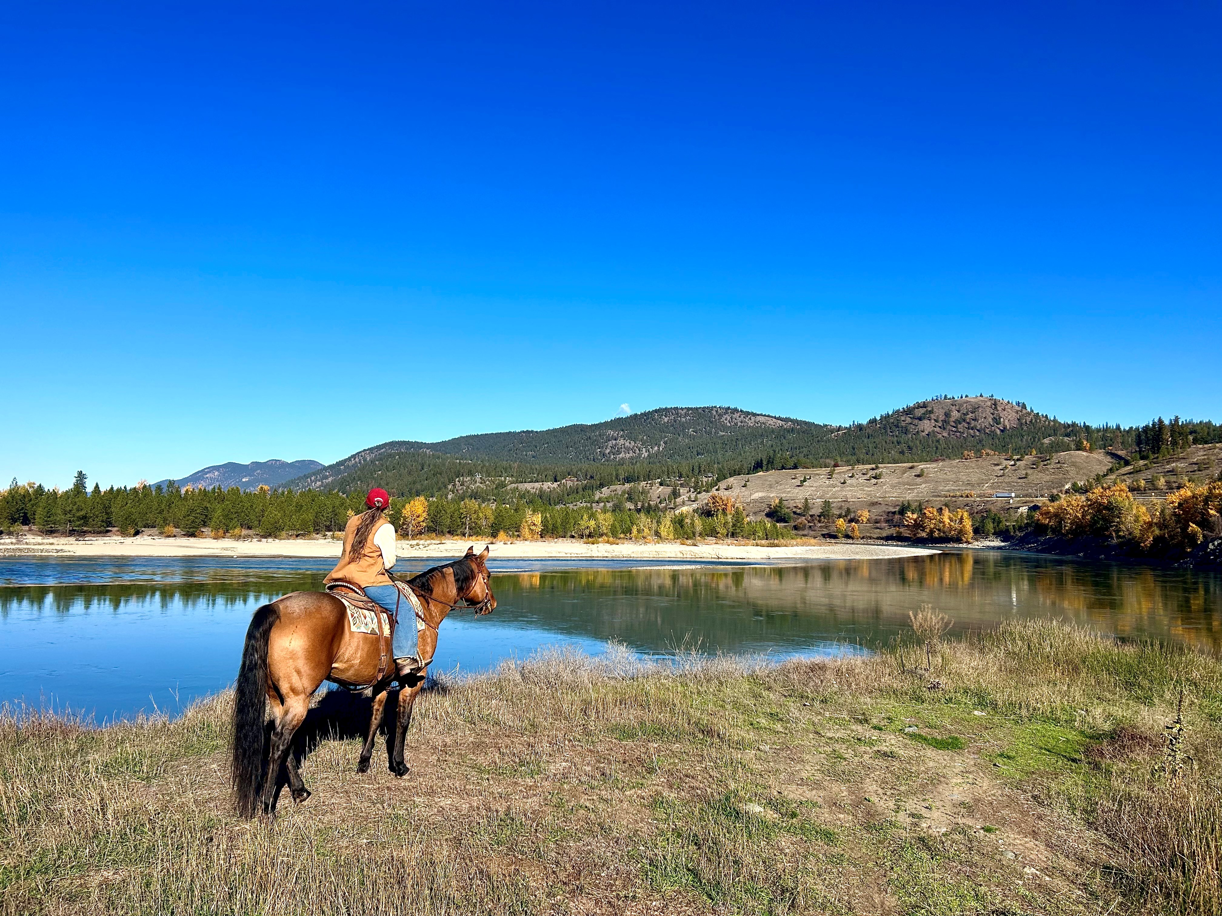 A woman wearing a tan vest, white long sleeved shirts, blue jeans and a red baseball cap with her hair tied in a pony tail, riding her brown horse looking out over the North Thompson River.