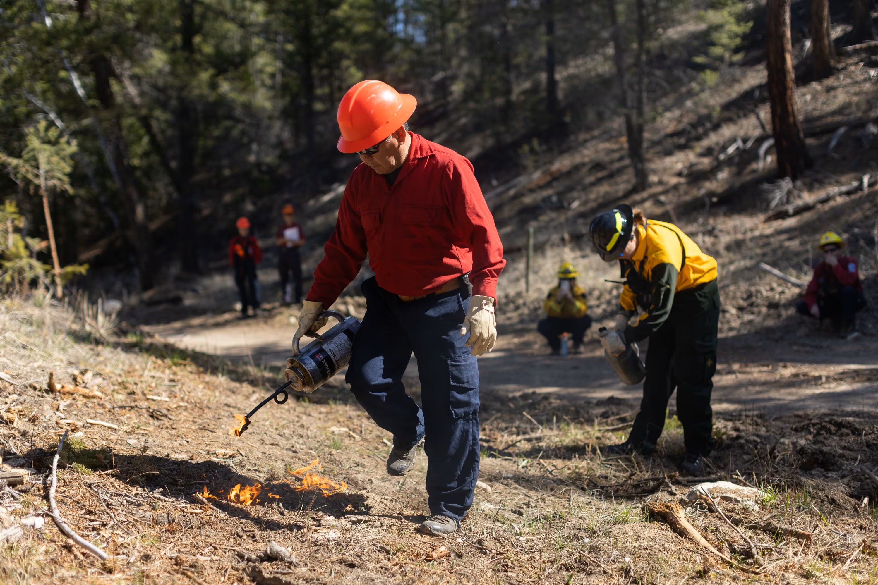 A person with an orange hard hat, red long-sleeved shirt, white gloves and blue pants holds a torch with a flame on the end as they light up a dry forest floor