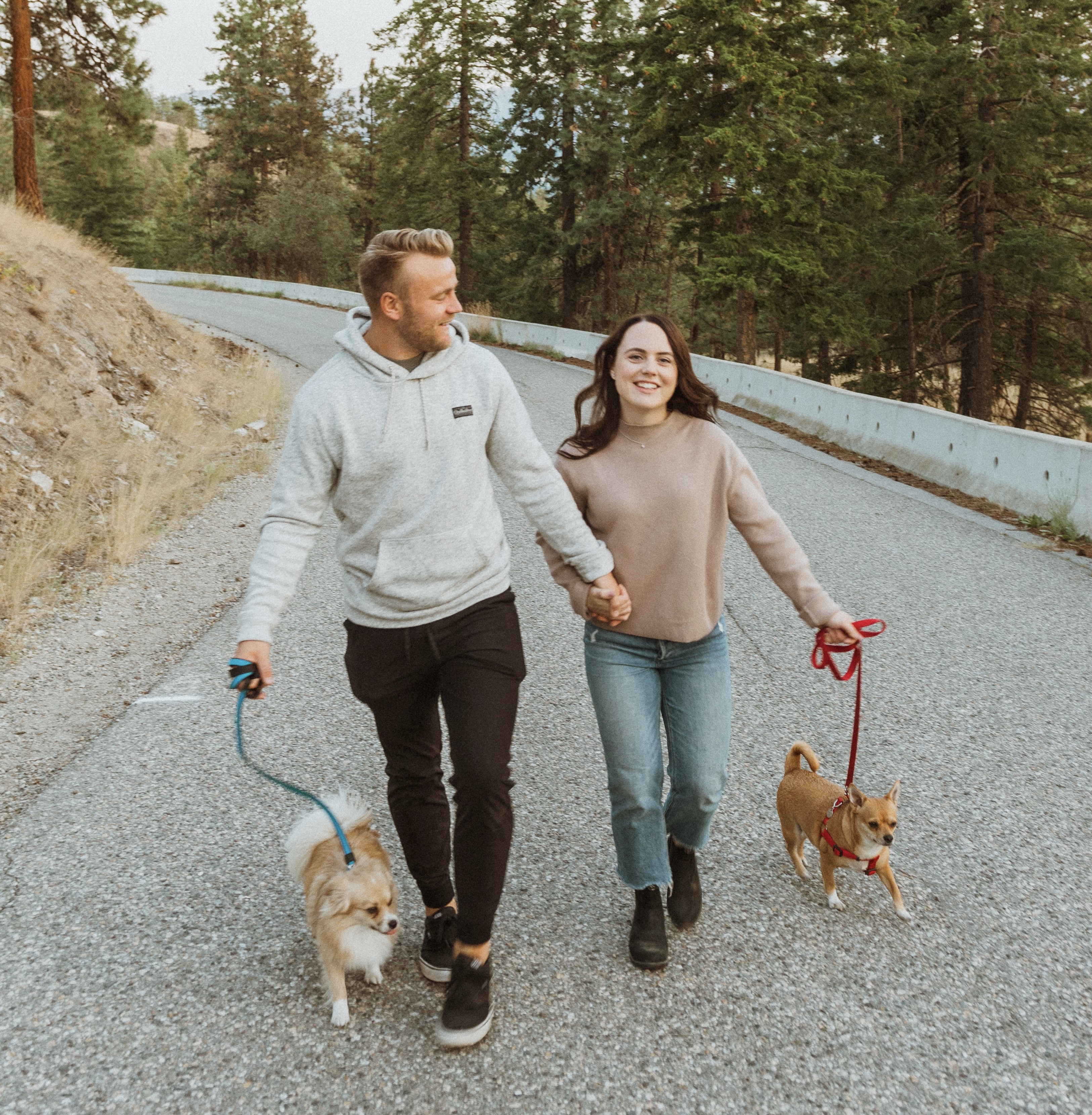 A young couple holding hands wearing fall clothing walk two small caramel coloured dogs on an asphalt path with pine trees in the background