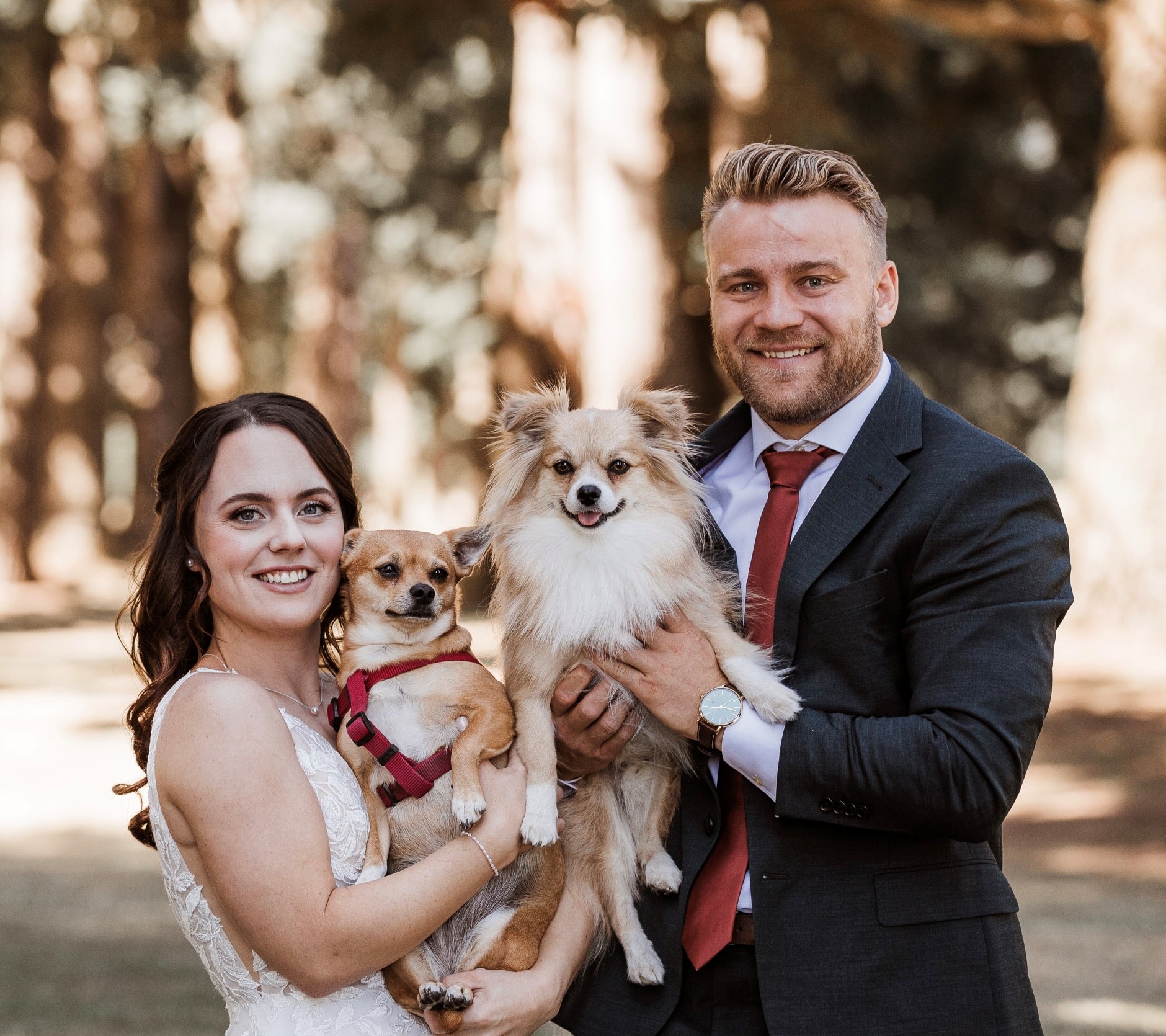 A smiling young couple in wedding attire hold two caramel coloured dogs with red leashes in a forest