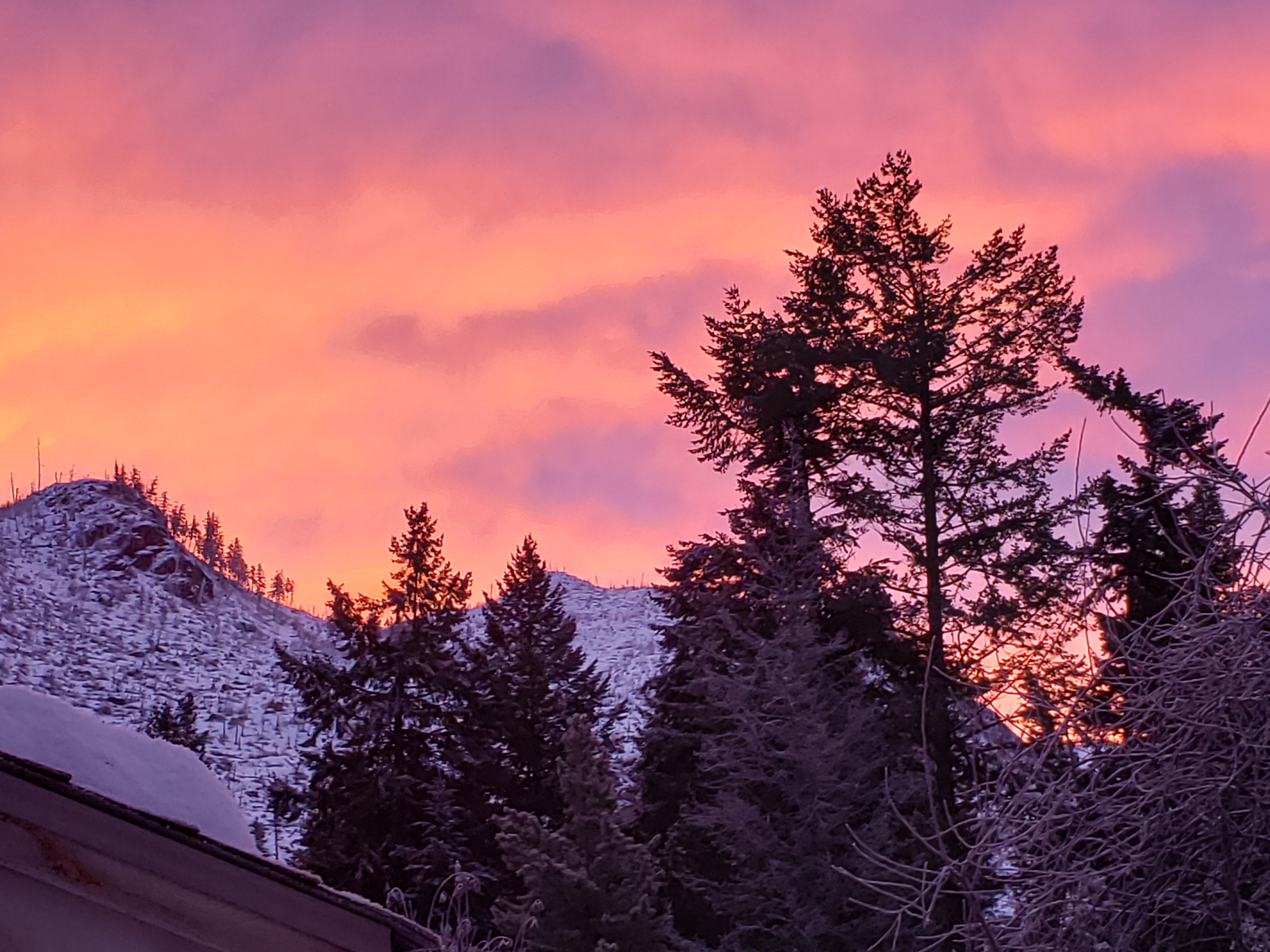 The sun rising in the background of trees and snow-covered hills.