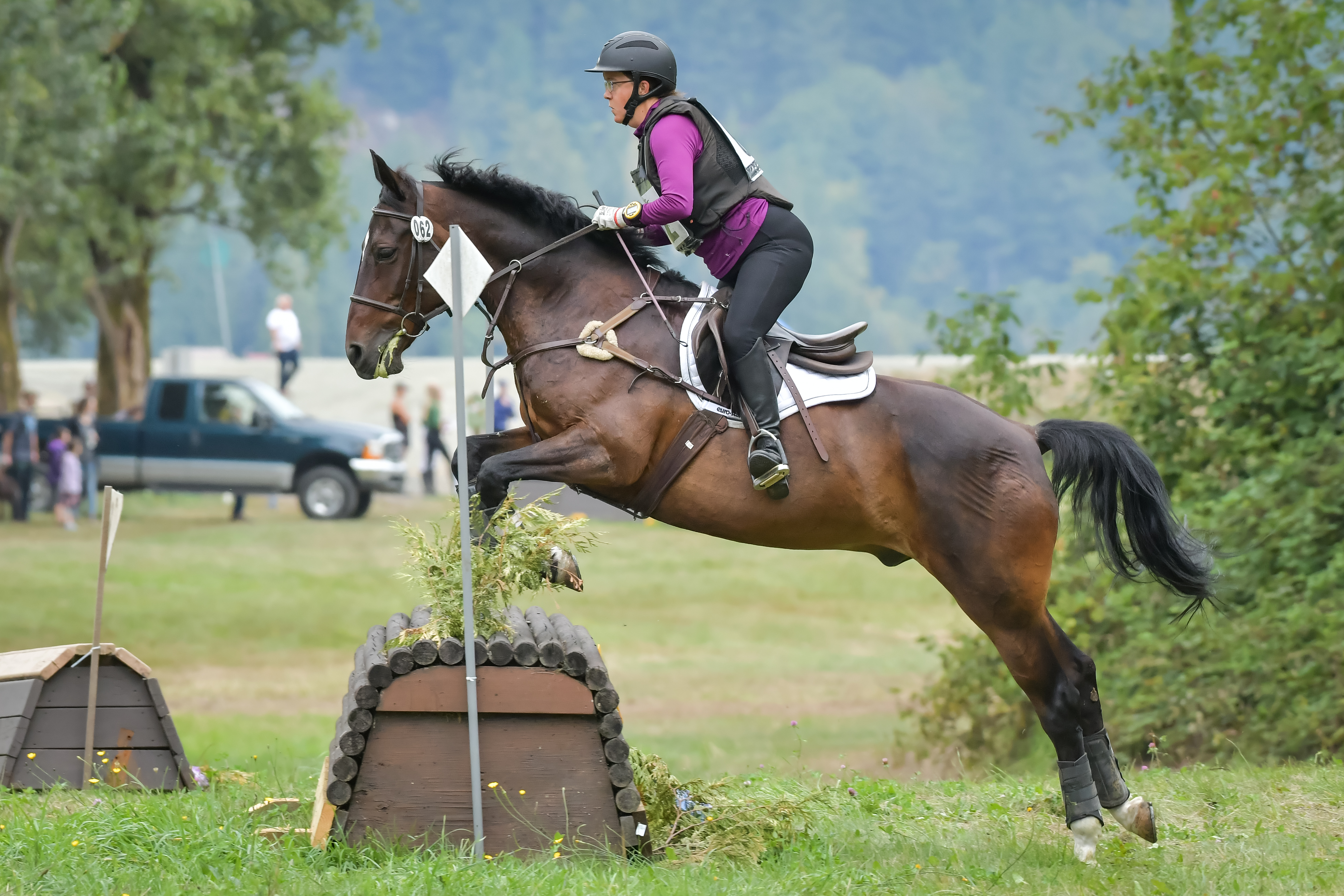 A woman in a purple shirt and black vest riding a brown horse jumping over a wooden barrel.