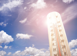 Expert view: 10 tips to beat the heat