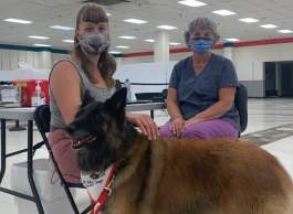 Therapy dogs lend a paw at vaccine clinics