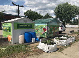 Enderby’s Harvest Hut produce-sharing program 