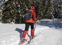 A person in full winter gear cross country skies in a snowy forest.