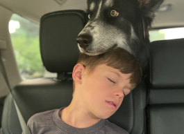 A person sleeping in a car seat with a black and white dog resting its head on the person's shoulder.